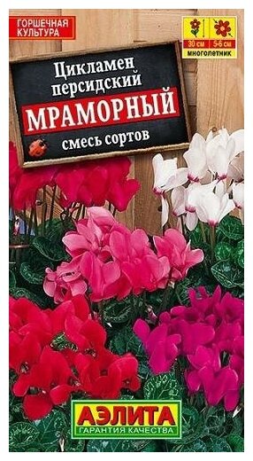 Семена. Цикламен персидский 