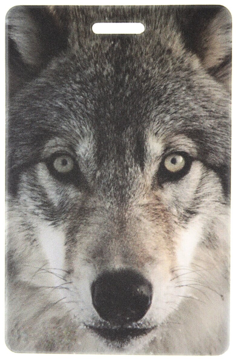 Обложка для проездного Волк