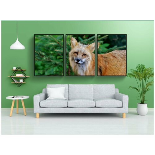 фото Набор модулных постеров для интерьера "лиса, дикая природа, дикое животное" 60x90 см. в тубусе, без рамки lotsprints