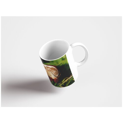 фото Кружка "каштан, падение, дерево" 320 мл lotsprints