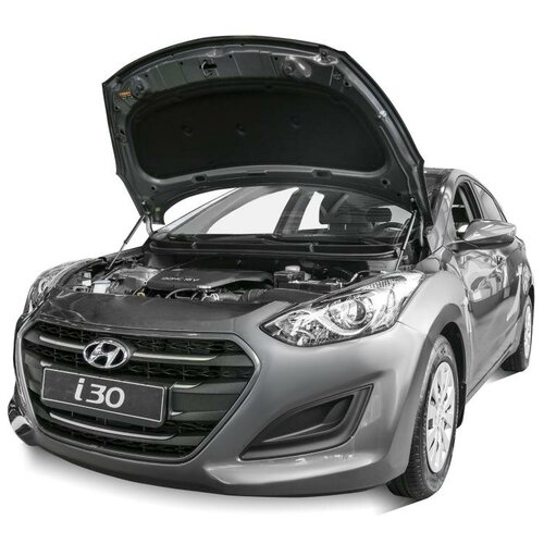 фото Упоры капота автоупор (арт. uhyi30012) hyundai i30 2011-2016