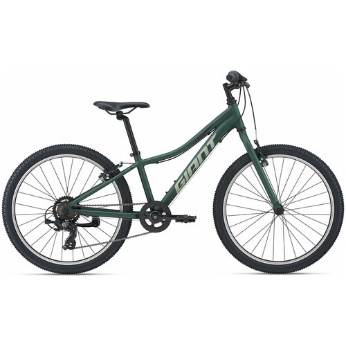 Велосипед детский Giant XtC Jr 24 Lite 2021 One size Trekking Green 4049000₽