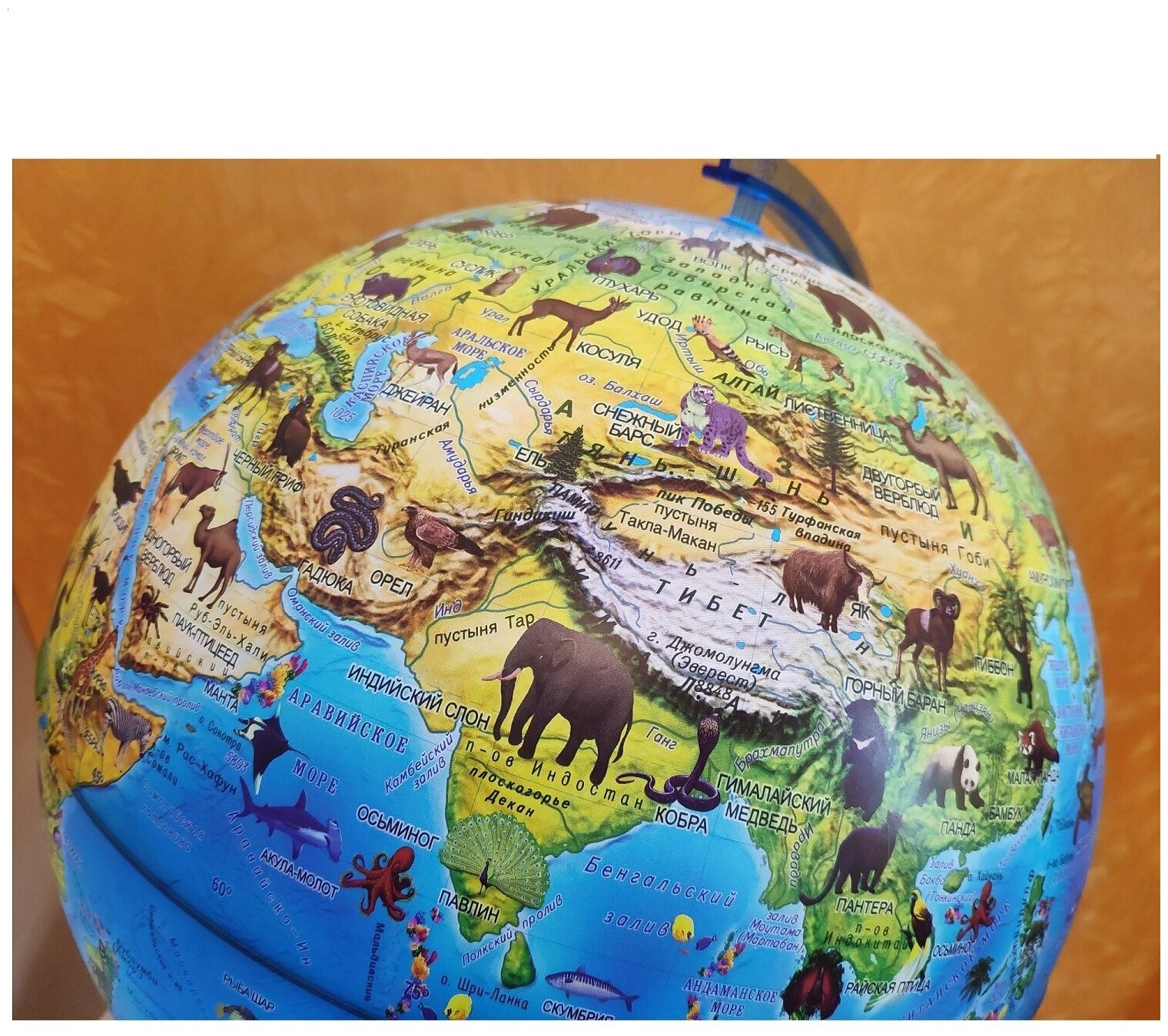Глобус Globen Зоогеографический (детский) с подсветкой от батареек, диаметр 21 см