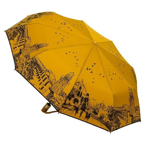 Женский автоматический зонт Amico 1108-05