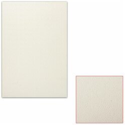 Картон белый грунтованный для масляной живописи, 25х35 см, односторонний, толщина 0,9 мм, масляный грунт, 2 шт.