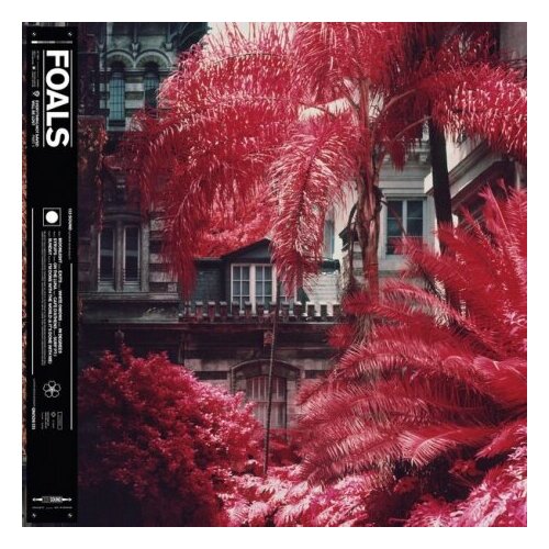 Виниловые пластинки, Warner Bros. Records, FOALS - Everything Not Saved Will Be Lost Pt. 1 (LP)