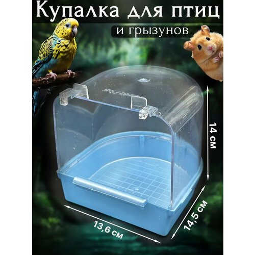 Купалка Vikki Zoo, для грызунов, попугаев и птиц, пластик, голубая
