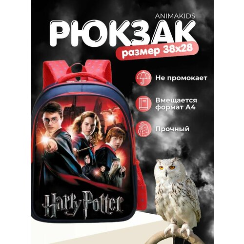 Рюкзак AnimaKids Harry Potter, Гарри Поттер