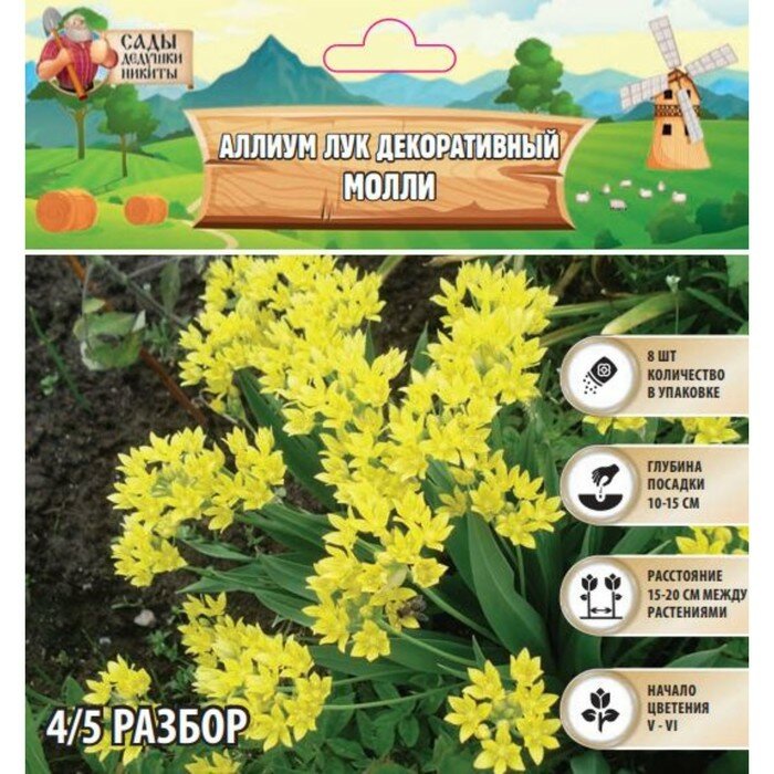 Аллиум лук декоративный Молли, многолетник, луковица, р-р 4/5, 8 шт.