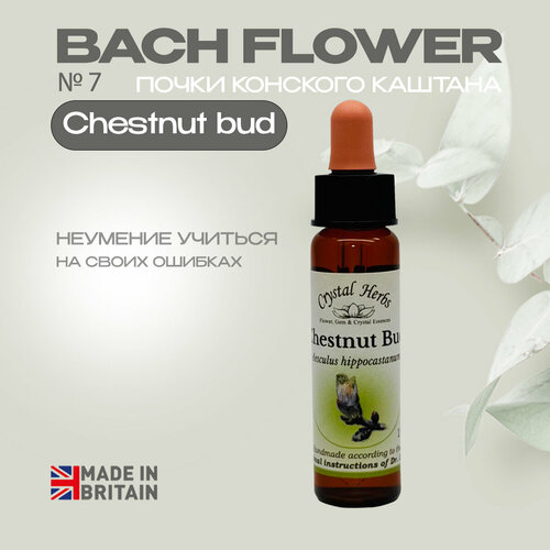 Цветы Баха, эссенция №7 Chestnut bud (Почки конского каштана) Честнат Бад - капли 10 мл. Англия
