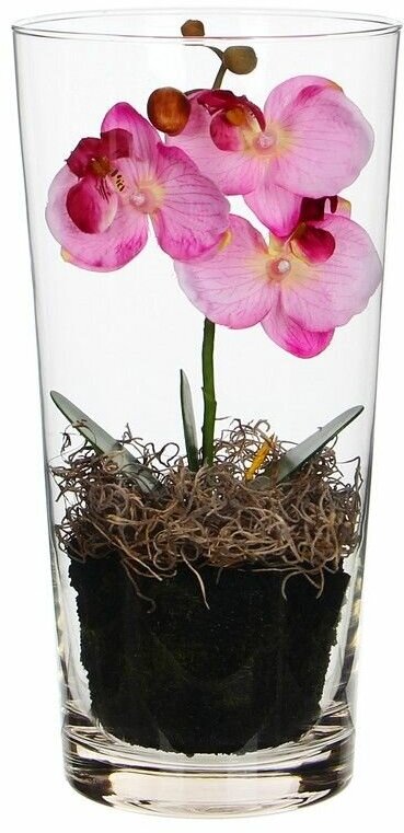 Искусственная орхидея фаленопсис в конической вазе, нежно-розовый, 30 см, Edelman, Mica 1044685