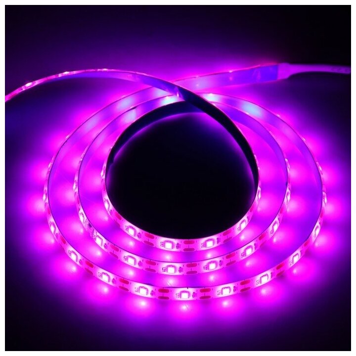 Фитолента светодиодная Luazon, 5 В, SMD5050, 2 м, IP20, 10.3 Вт, 60 LED/м, дим, USB - фотография № 1