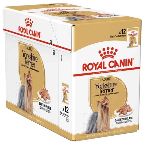 Влажный корм для собак Royal Canin породы Йоркширский терьер, для здоровья кожи и шерсти 1 уп. х 12 шт. х 85 г корм для собак породы йоркширский терьер 10 месяцев royal canin yorkshire terrier adult 500 г