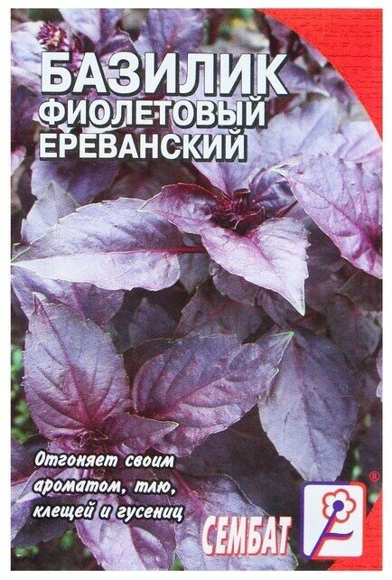 Семена Базилик фиолетовый Ереванский, 0,2 г, 10 упаковок