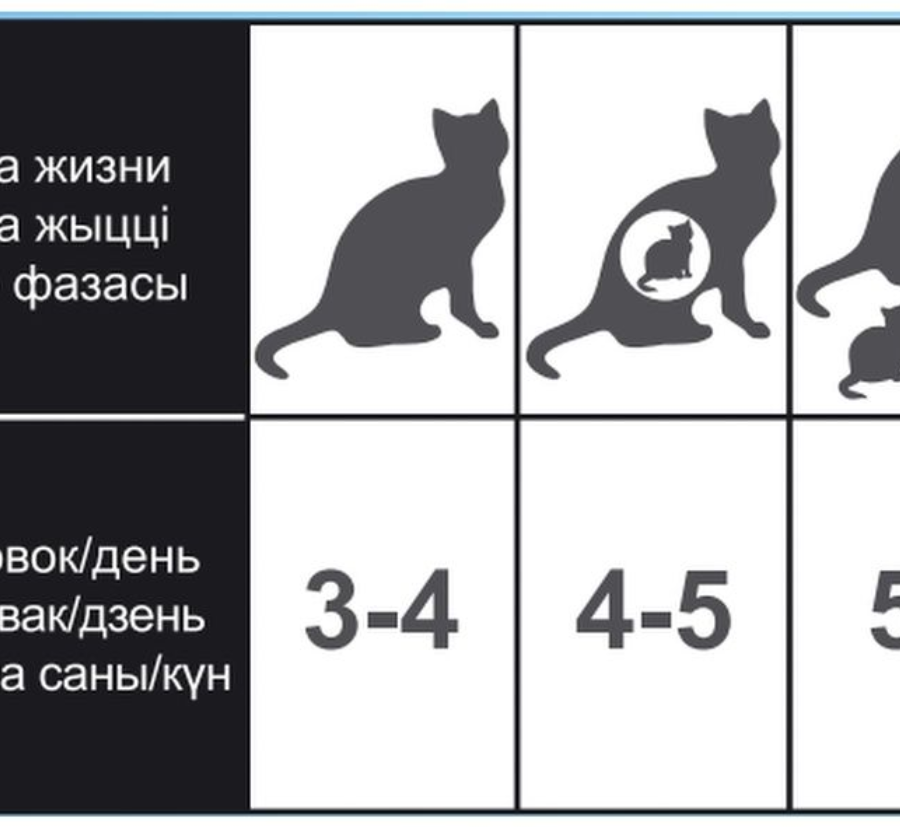 Ночной охотник влажный корм для кошек кусочки с говядиной в желе (100 г) - фото №8