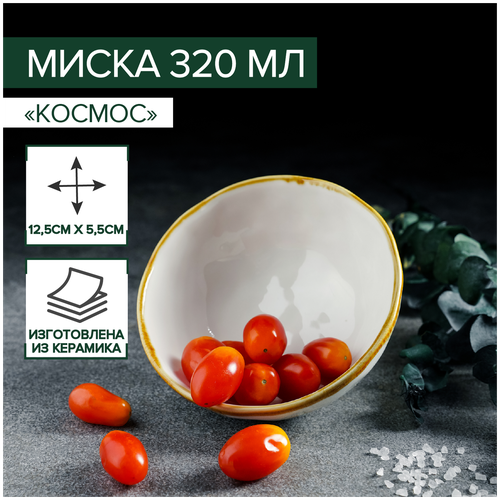 Миска Золотой космос 12,5х5,5 см