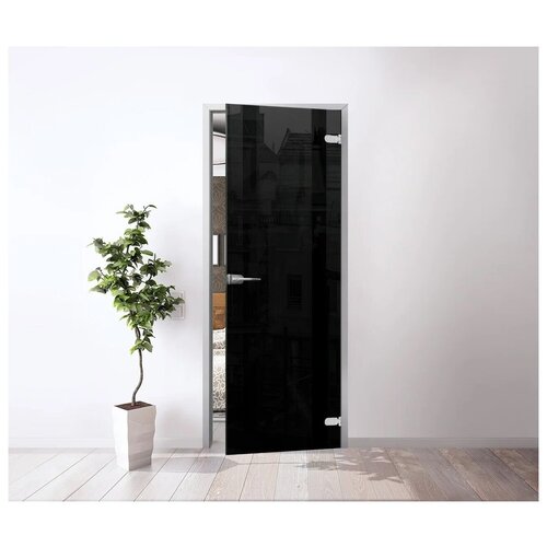 Межкомнатная стеклянная дверь RAL 9005 2000x800 с фурнитурой classic и Z-коробкой серебро