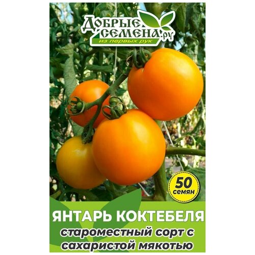 Семена томата Янтарь Коктебеля - 50 шт - Добрые Семена. ру