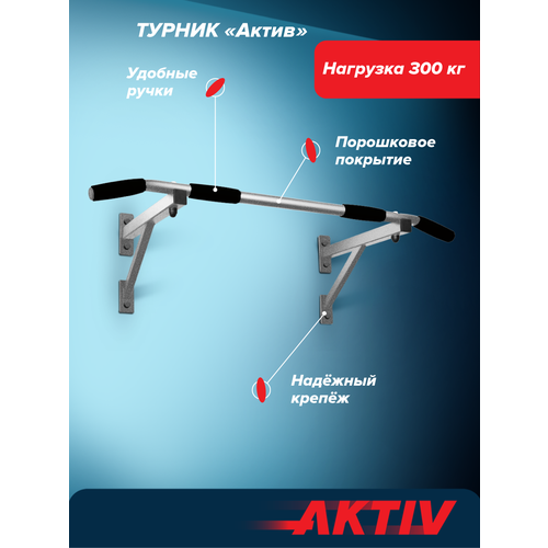 Турник настенный Aktiv серый шагрень разборный Aktiv/Absolute Champion