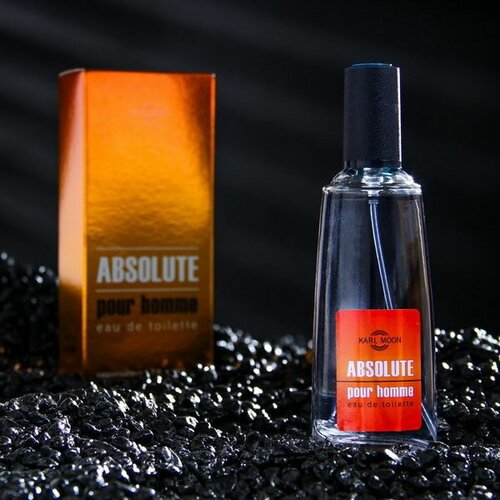 Туалетная вода для мужчин Absolute, 50 мл