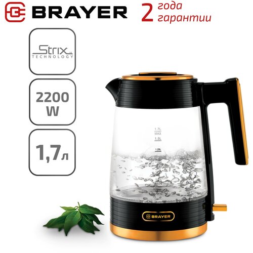 Чайник BRAYER BR1016 черный 351200₽