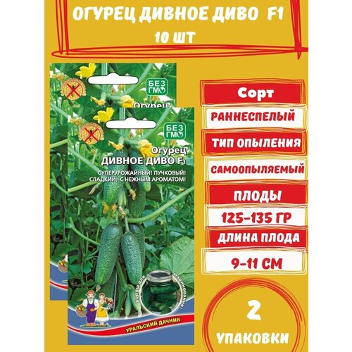 Семена Огурец Дивное Диво F1, 10 семян 2 упаковки