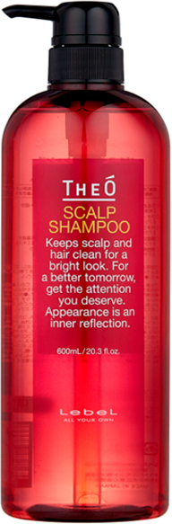 Шампунь для волос, для мужчин / THEO SCALP SHAMPOO 600 мл