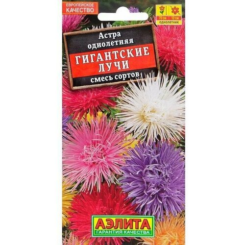 Семена цветов Астра Гигантские лучи, смесь окрасок 0,2 г 6 упаковок астра гигантские лучи смесь 0 2г аэлита семена