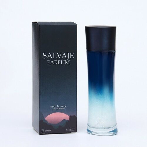 Туалетная вода мужская SALVAJE PARFUM, 100 мл