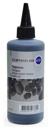 Чернила cactus CS-EPT6731-250