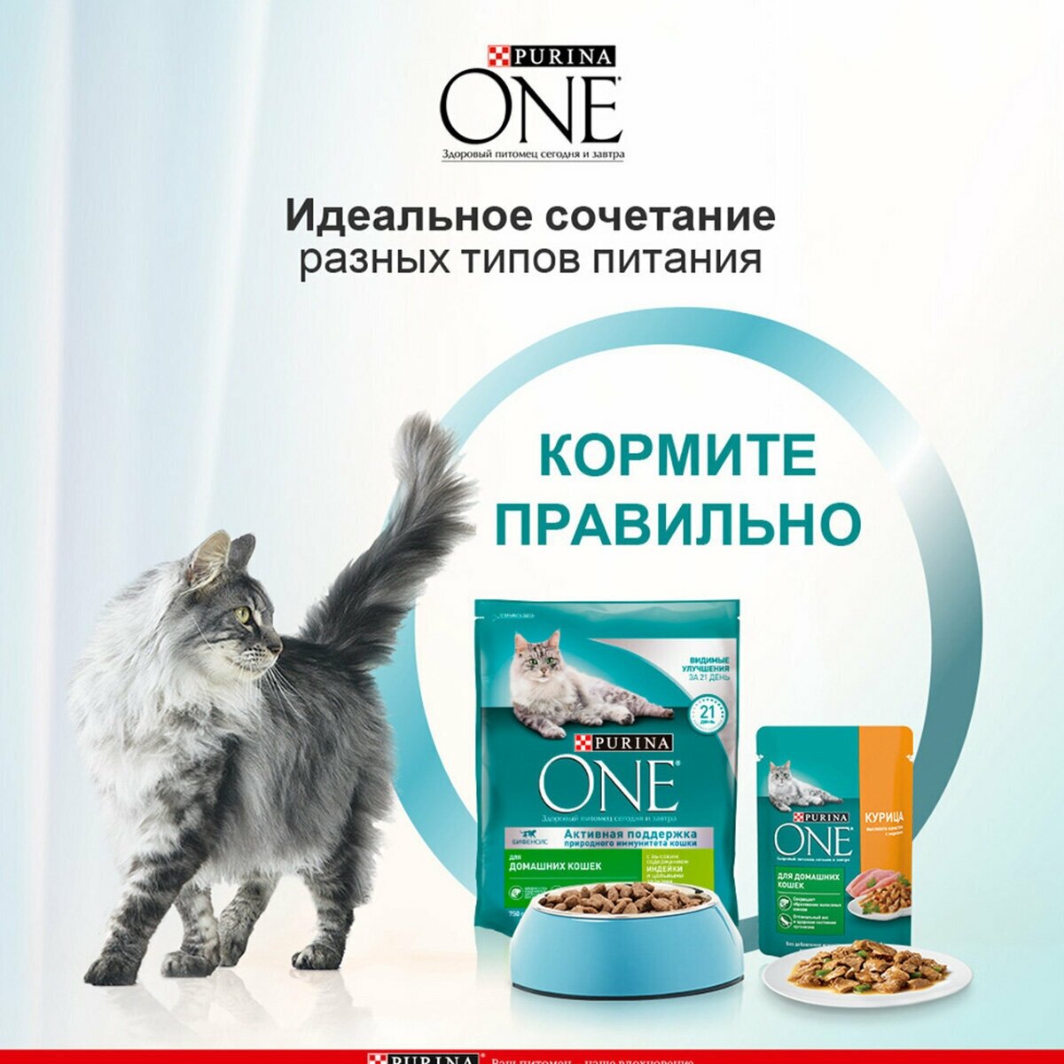 Purina One Сухой корм для домашних кошек с индейкой и злаками, 3 кг - фото №12