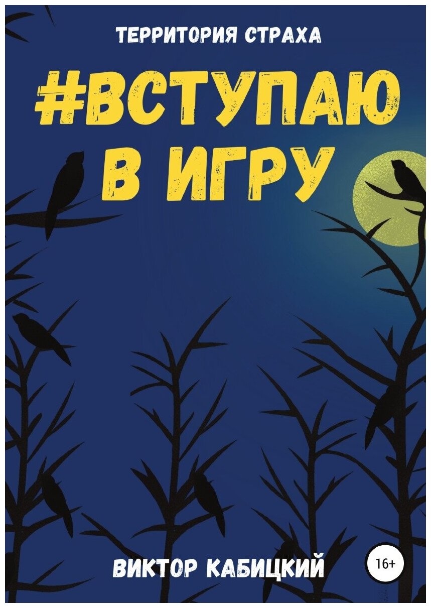 Вступаю в игру (Виктор Кабицкий) - фото №1