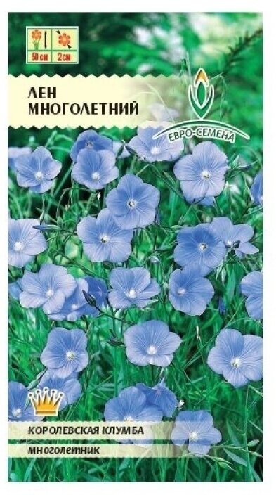 Лен ЛЕН многолетний. Семена. Многолетнее травянистое растение до 50 см. высотой. Цветки голубые до 2 см. в диаметре. Цветет в июне июле.