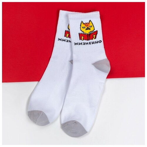 фото Носки мужские "кот" р. 41-44 (27-29 см), белый kaftan