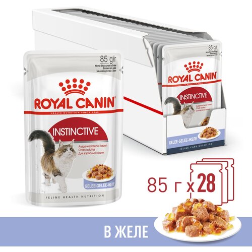 корм для взрослых кошек royal canin instinctive инстинктив корм консервированный желе 24x85г Корм для взрослых кошек Royal Canin Instinctive (Инстинктив) Корм консервированный , желе, 28x85г