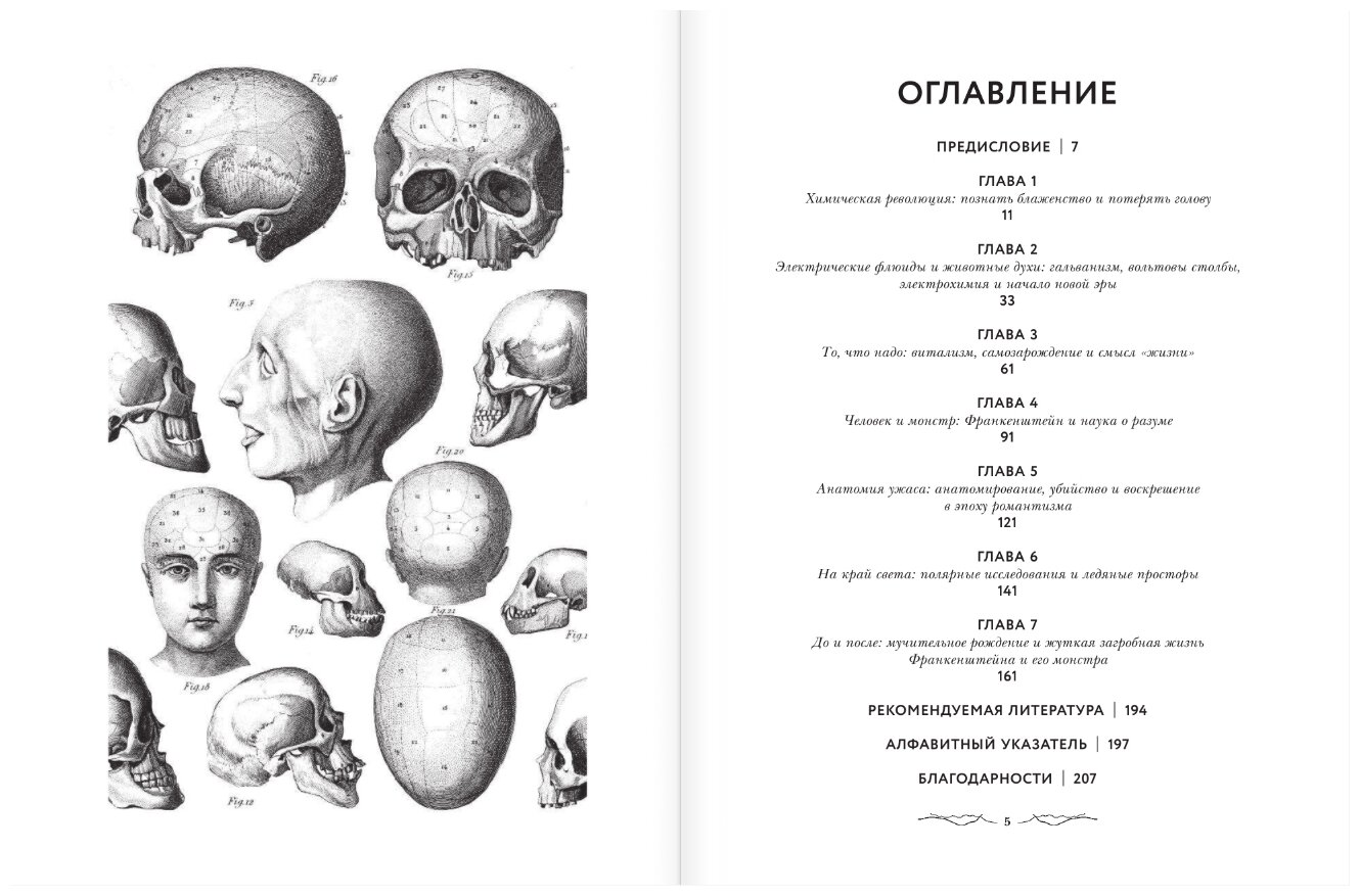 Франкенштейн. Запретные знания эпохи готического романа - фото №4