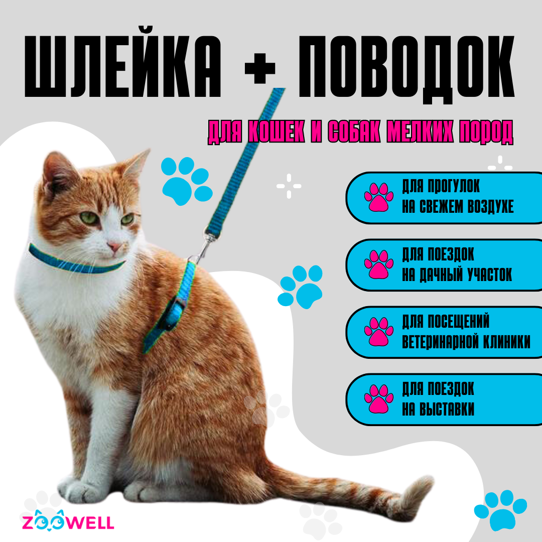 Набор шлейка + поводок для кошек ZOOWELL (голубой) - фотография № 2