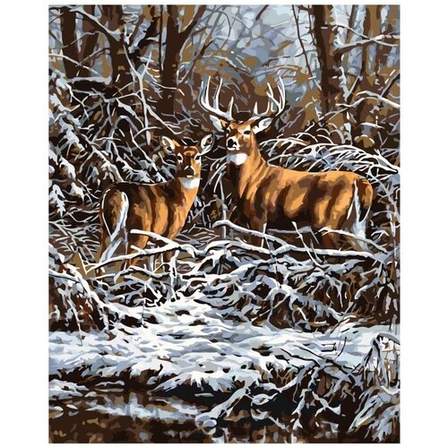картина по номерам в зимнем пальто 30x40 см Картина по номерам В зимнем лесу 40х50 см Hobby Home