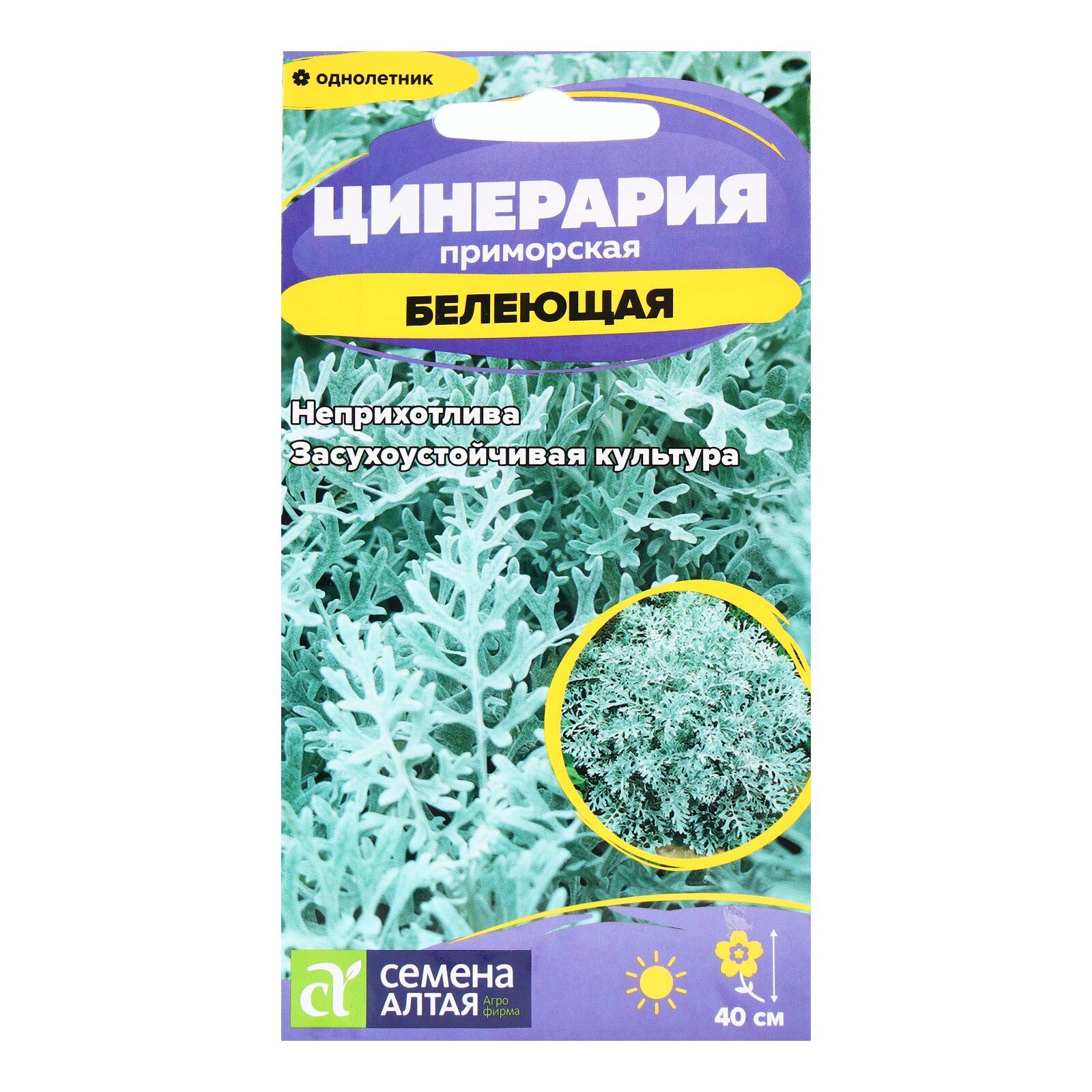 Семена Цинерария "Белеющая", ц/п, 0,05 гр.