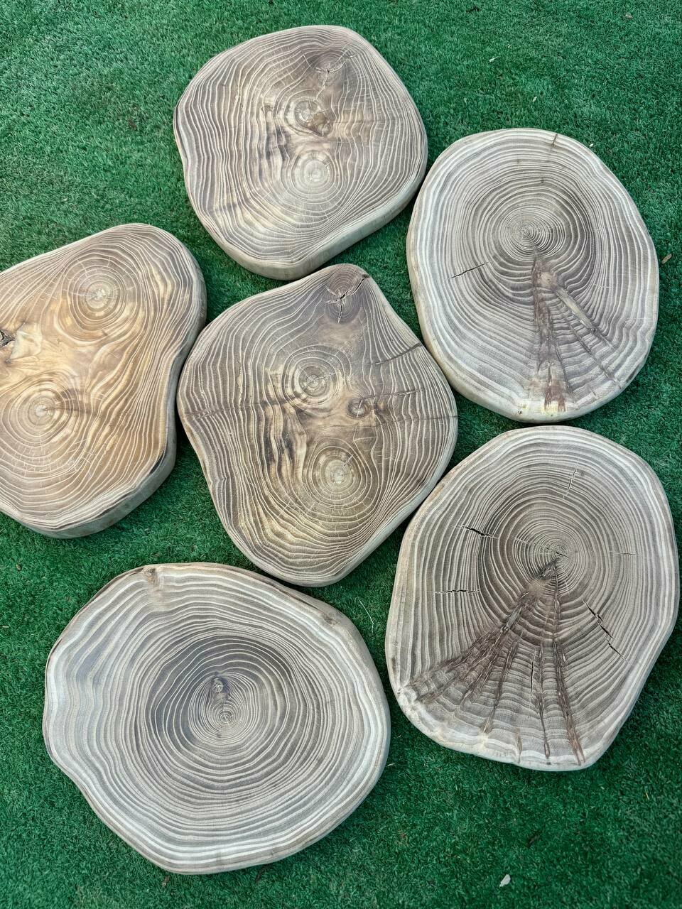 Спилы дерева карагача для творчества 22см x 20см x 2.5см 1шт