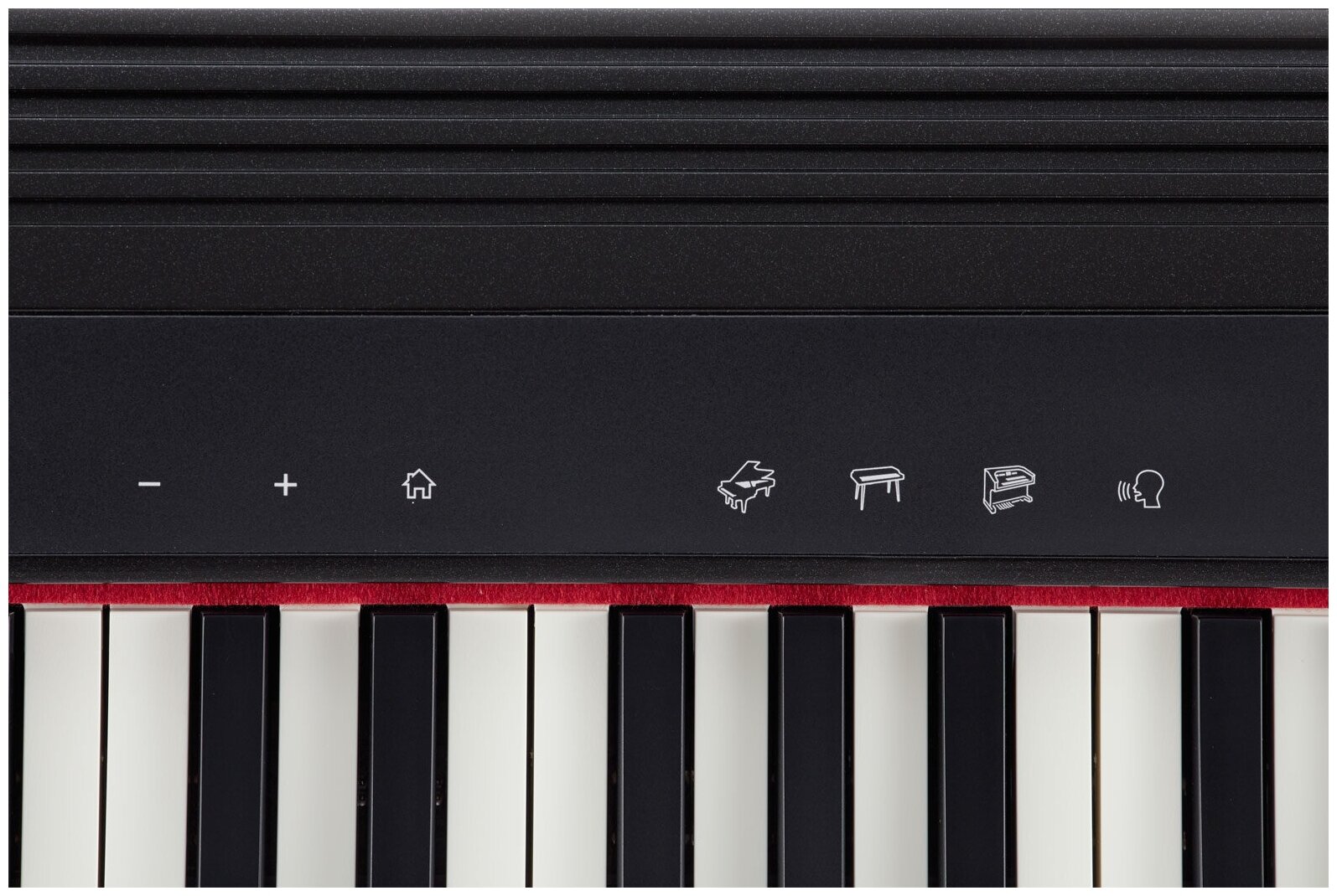 ROLAND GO-61P Компактное пианино, 61 клавиша, Bluetooth