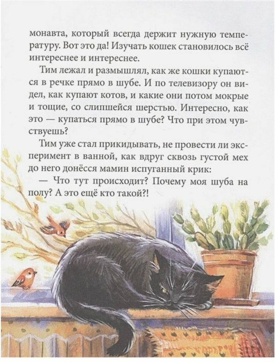 Кошкология и котоведение Тима Усатого - фото №5