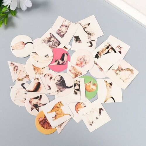 Набор наклеек Котейки 40 шт в коробочке 38х38 см 470₽