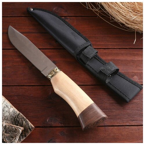фото Нож охотничий "фроди", в чехле, 28 см, рукоять деревянная, бежевая с венге mikimarket