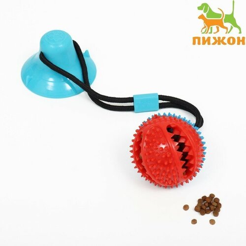 Игрушка для собак Шар для лакомств на присоске, 40 х 8 см, голубая ёлочный шар зима подарит чудеса 8 см х 8 см х 8 см