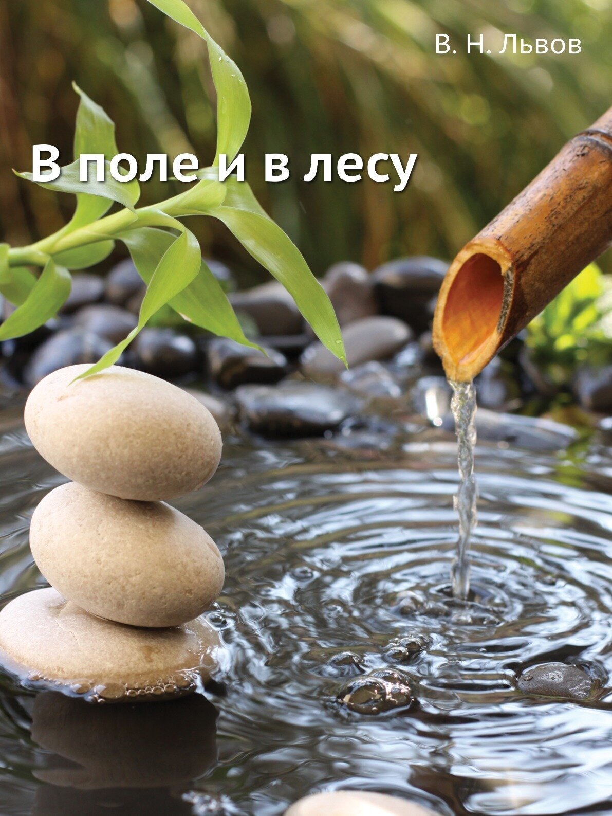 Книга В поле и в лесу (Львов Владимир Николаевич) - фото №1