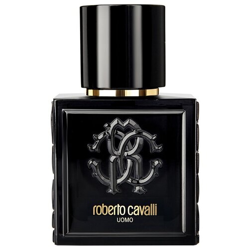 Roberto Cavalli туалетная вода Roberto Cavalli Uomo, 100 мл