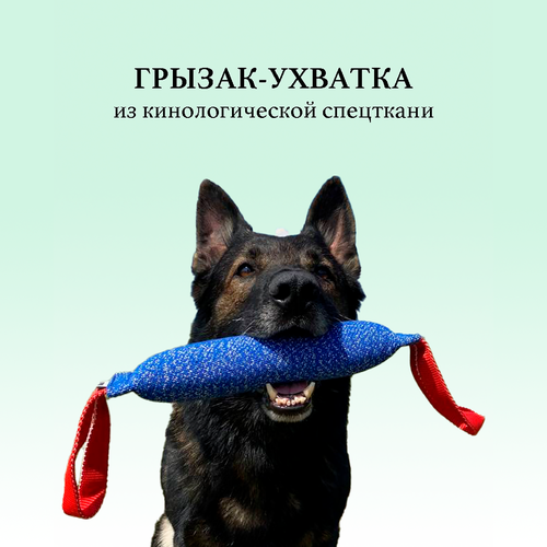 Грызак для собак BITEFORCE, 9 на 30 см, синий, игрушка, ухват для собак, грейфер