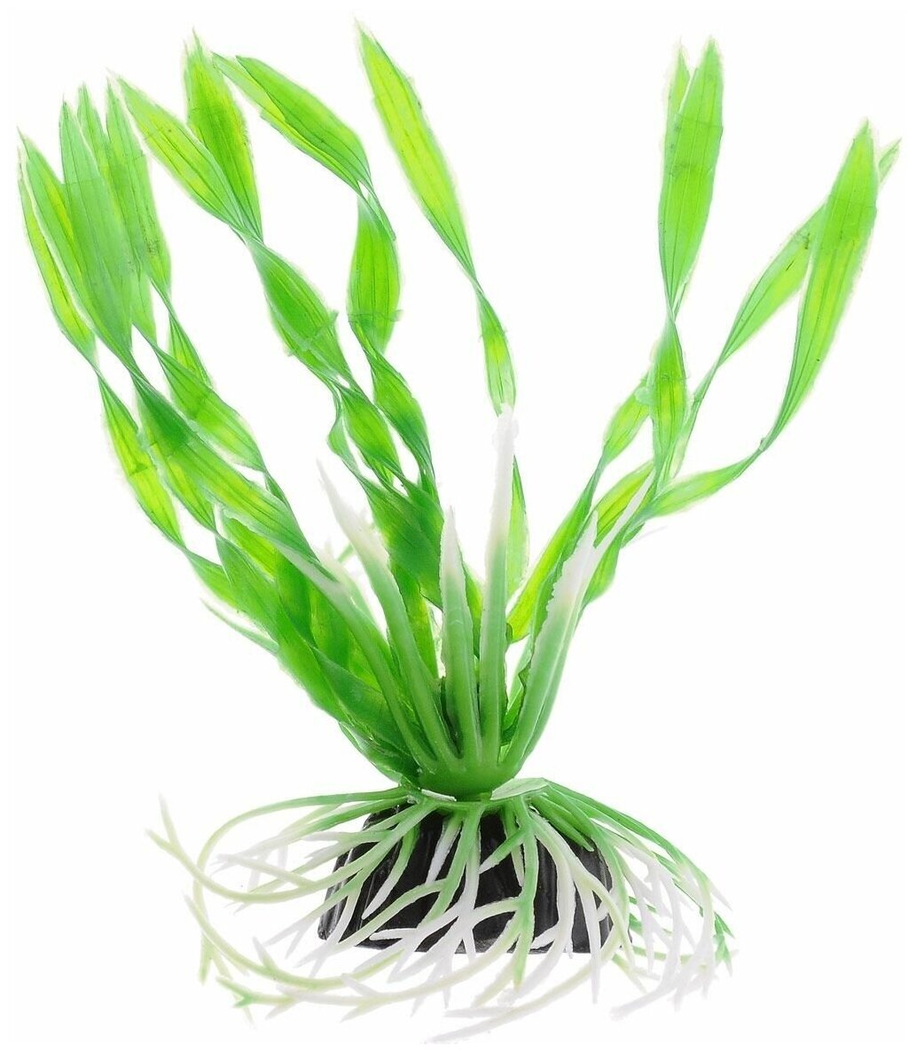 Искусственное растение BARBUS Валлиснерия спиральная 10 см зеленый - фотография № 1