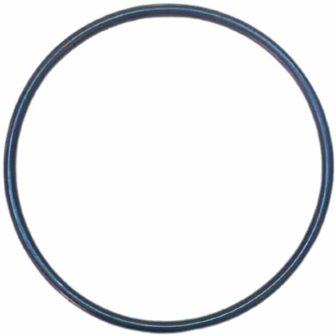 фото Уплотнительное кольцо корпуса для насоса Unipump QB70 (uplkolcUnipQB70)